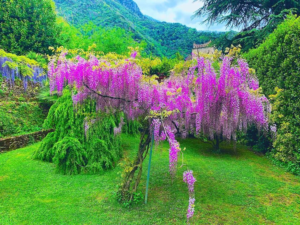 Il Piccolo Paradiso Серавеца Екстериор снимка